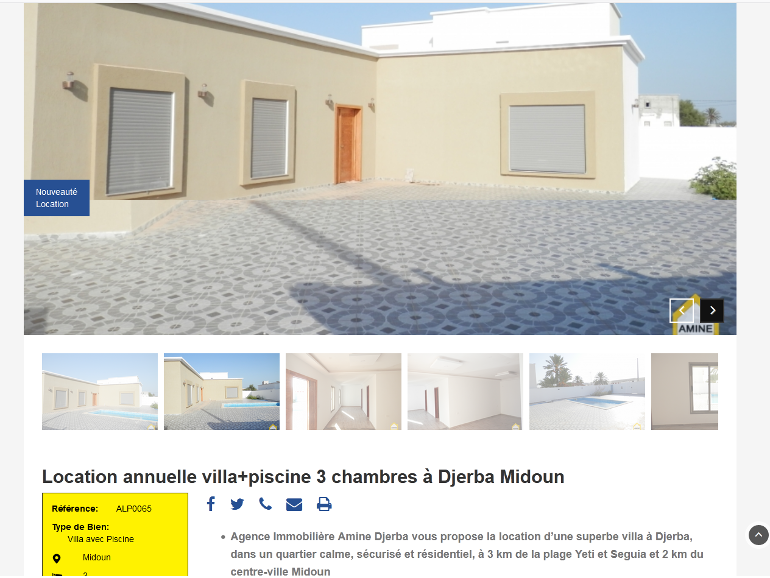 Details Annonce