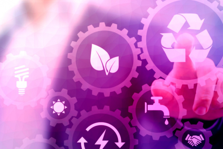 Web Applications